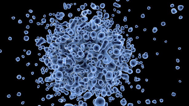 Coronavirus: il decalogo del Ministero della Salute